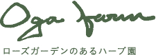 Oga farm
